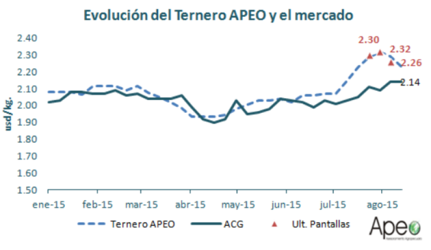 GRAFICO 4