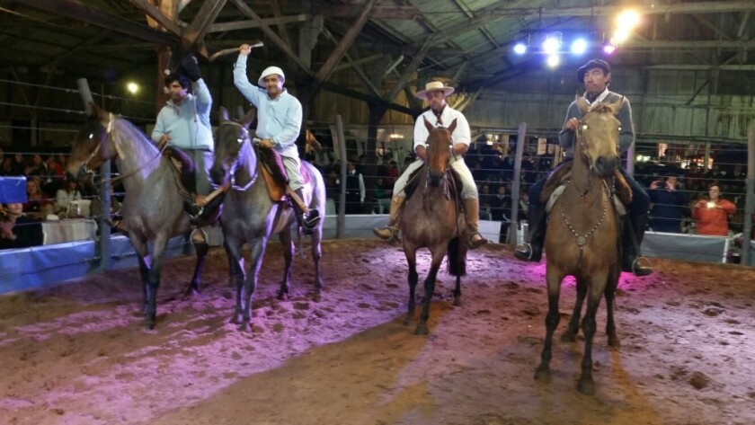 Criollos Marcheros 2