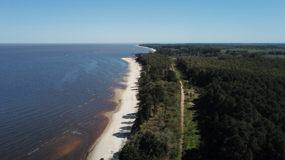 Playa