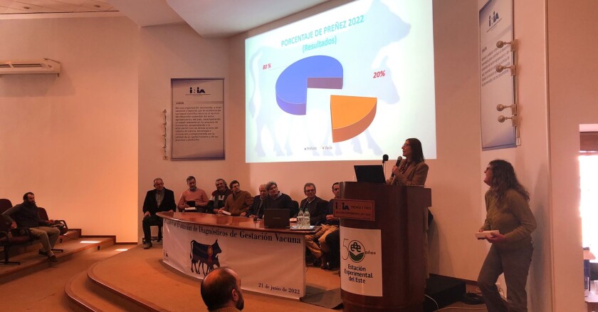 Taller de Evaluación de Diagnóstico de Gestación Vacuna