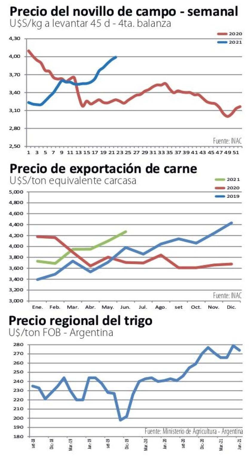 graficas-ncl-1.jpg