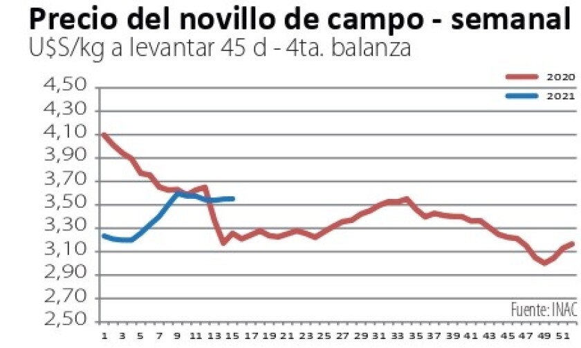 precio-novillo.jpg