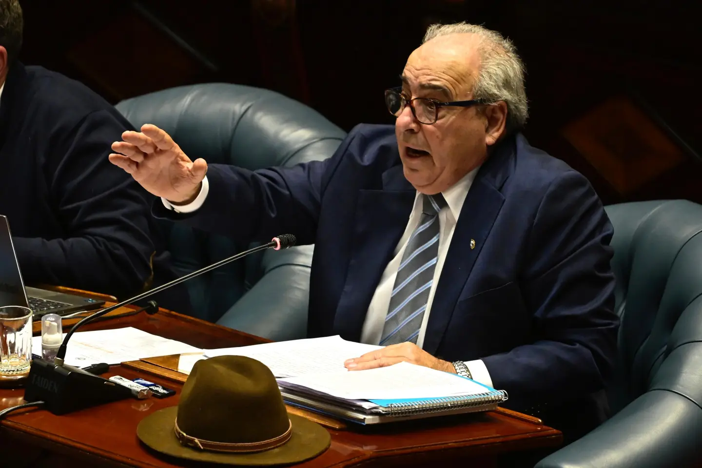 Alfredo Fratti, ministro de Ganadería, Agricultura y Pesca en la Cámara de Senadores