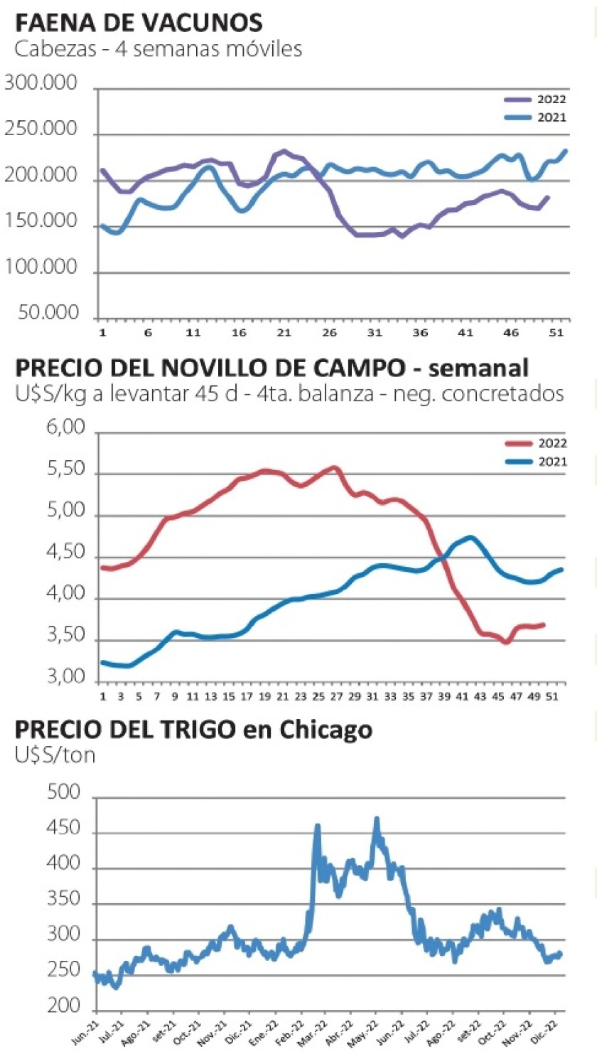 Gráficas NCL.jpg