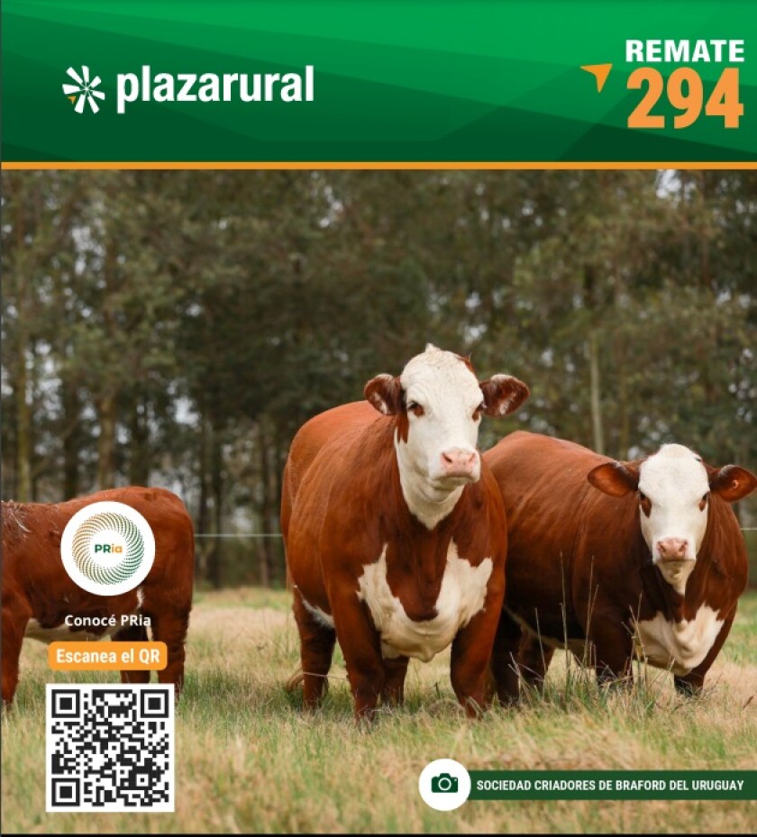 Previa Plaza.jpg