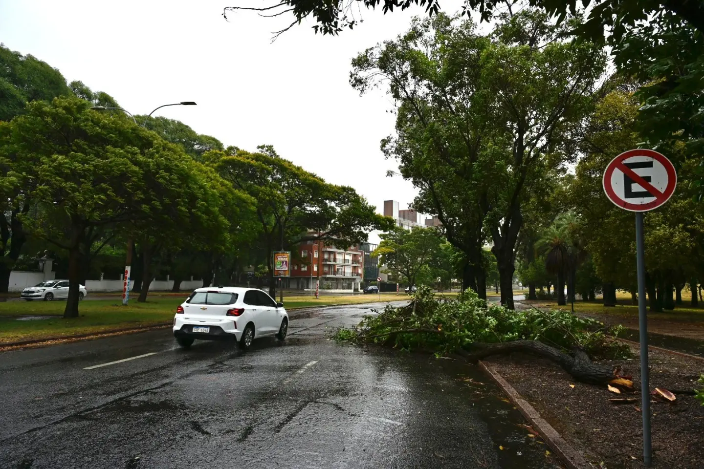 El ciclón extratropical provocó vientos que hicieron caer ramas y árboles en Uruguay.