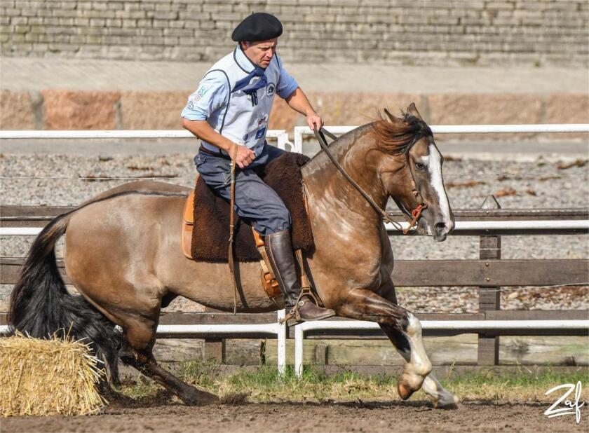 Cupertino Corazón OK OK .jpg