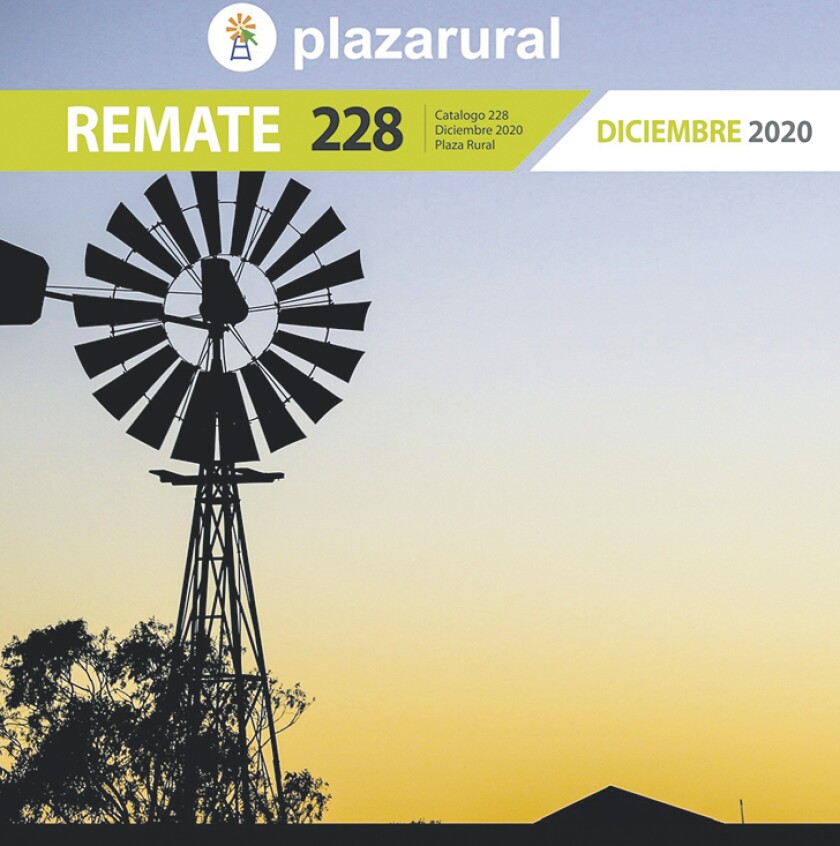 imagen-tapa-r228.jpg