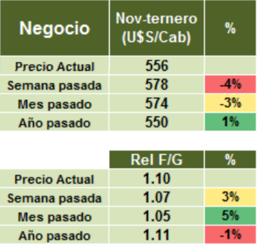 GRAFICO 7
