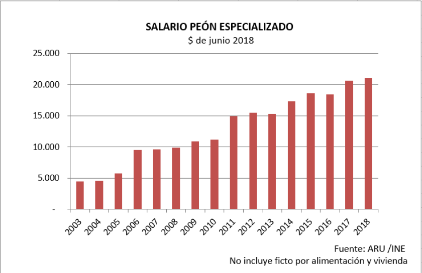 salario-peon-especializado.png
