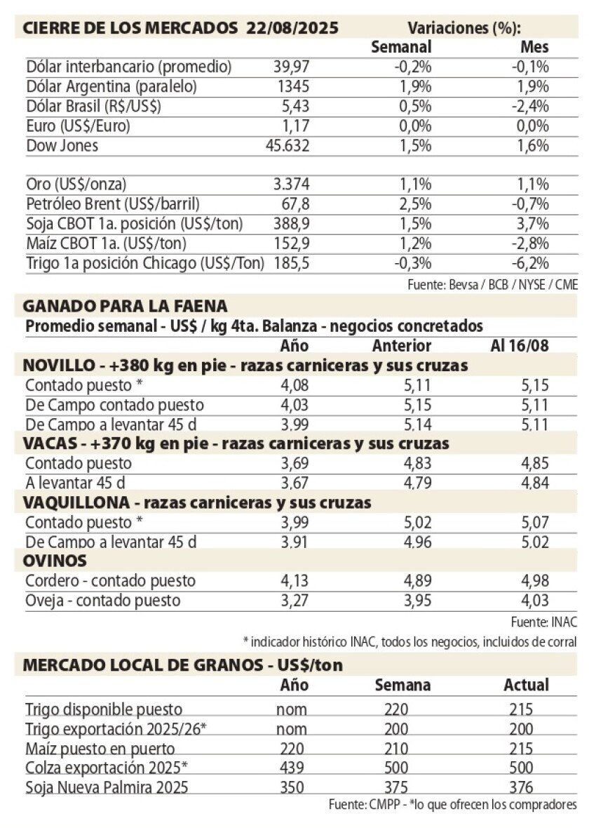Cuadros NcL.jpg