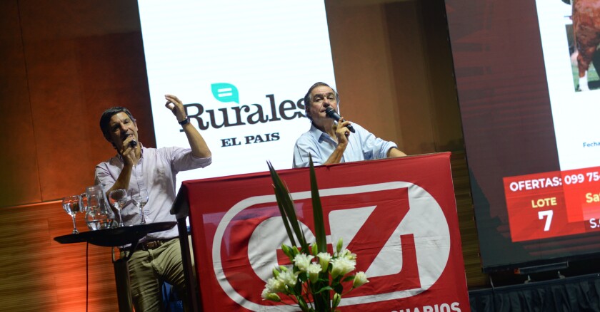 Gerardo y Alejandro Zambrano.jpg