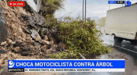 Movilera y camarógrafo atropellados en vivo en México.