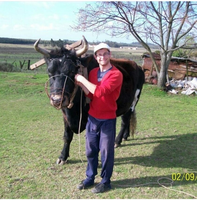 José Luis Del Pino es de Sosa Díaz, en Canelones y toda su vida trabajó con bueyes.