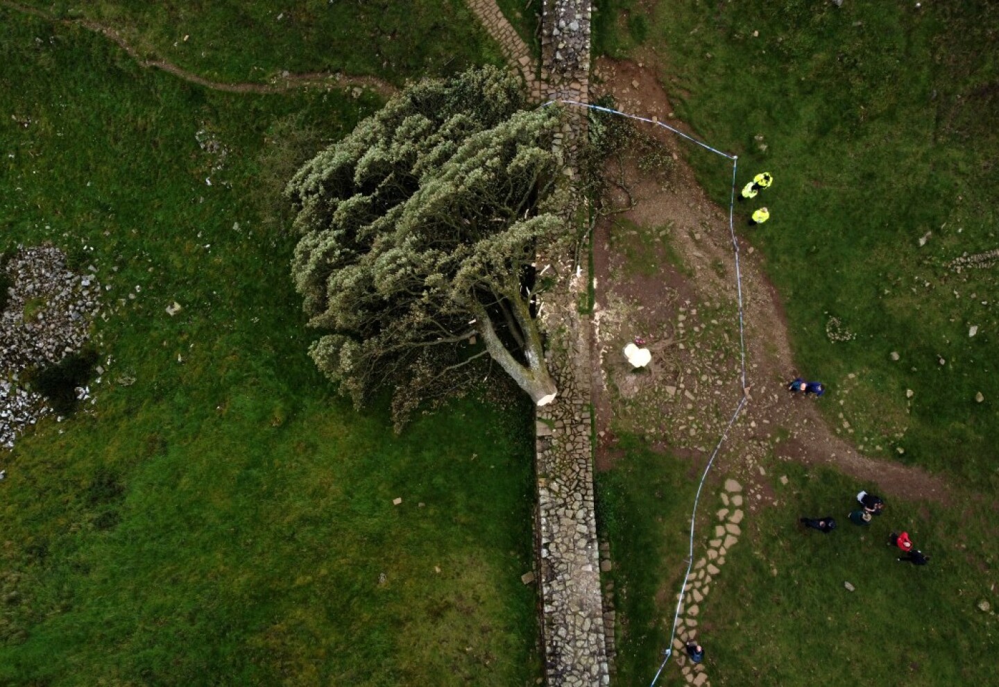 Una vista aérea muestra el árbol talado en Sycamore Gap, junto al Muro de Adriano, cerca de Hexham, en el norte de Inglaterra, el 28 de septiembre de 2023.
