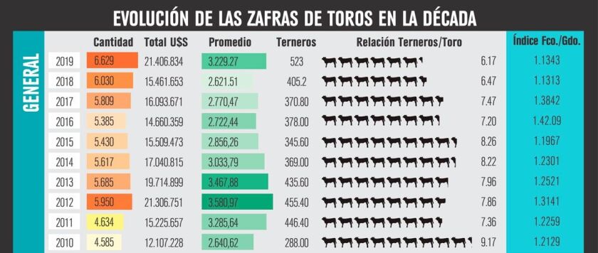 evolucion.jpg