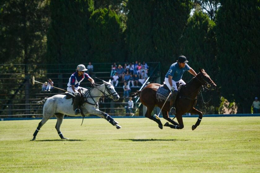 Torneo de Polo.