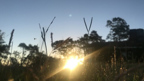 campo, clima, sol, atardecer. Foto Manuela García Pintos