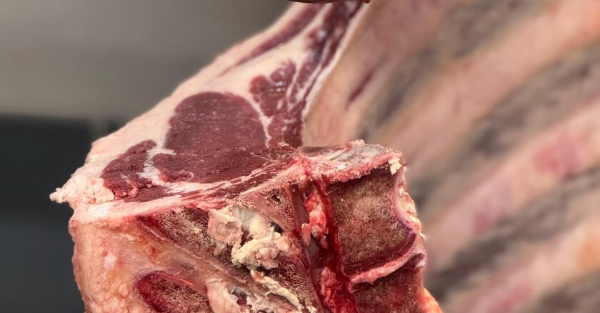 carne vacuna