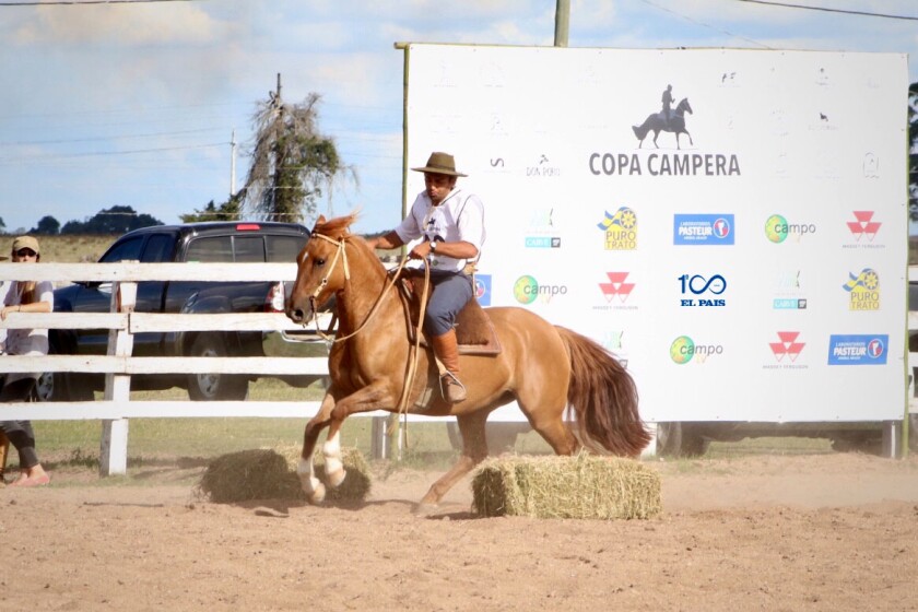 copa-campera.jpg
