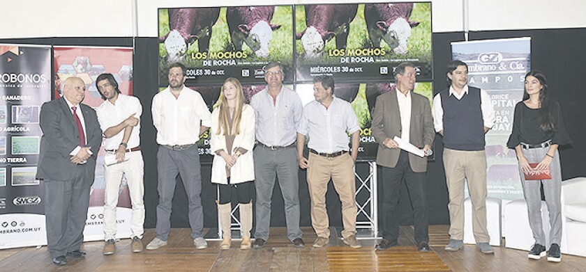 mochos-rocha.jpg