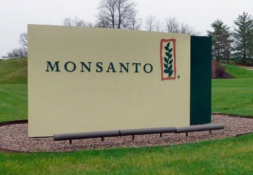 monsanto-gmo-777x437-e1528198950993.jpg