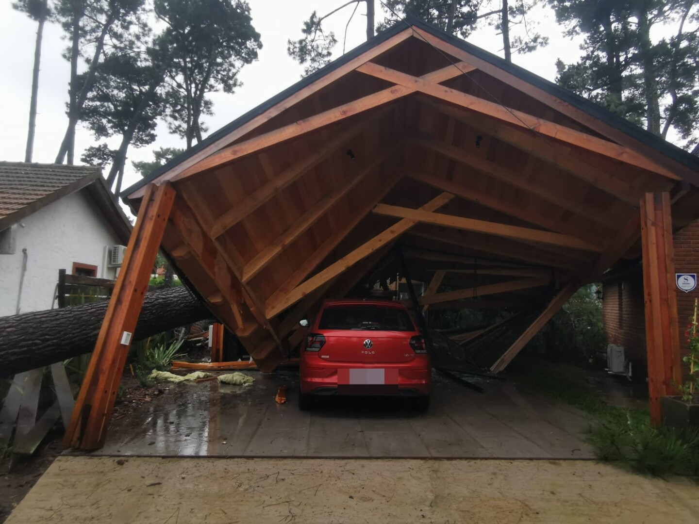 Techo de una cochera derrumbado por la caída de un árbol en Maldonado.