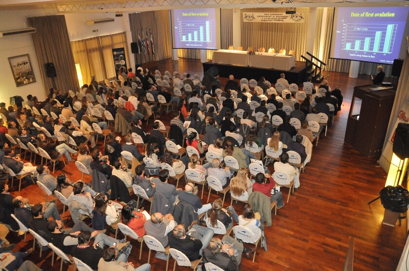 jornadas-buiatria.jpg