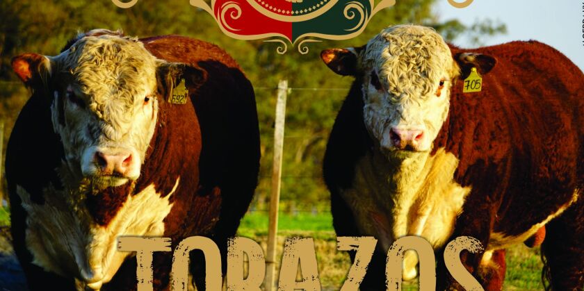 previa-torazos.jpg