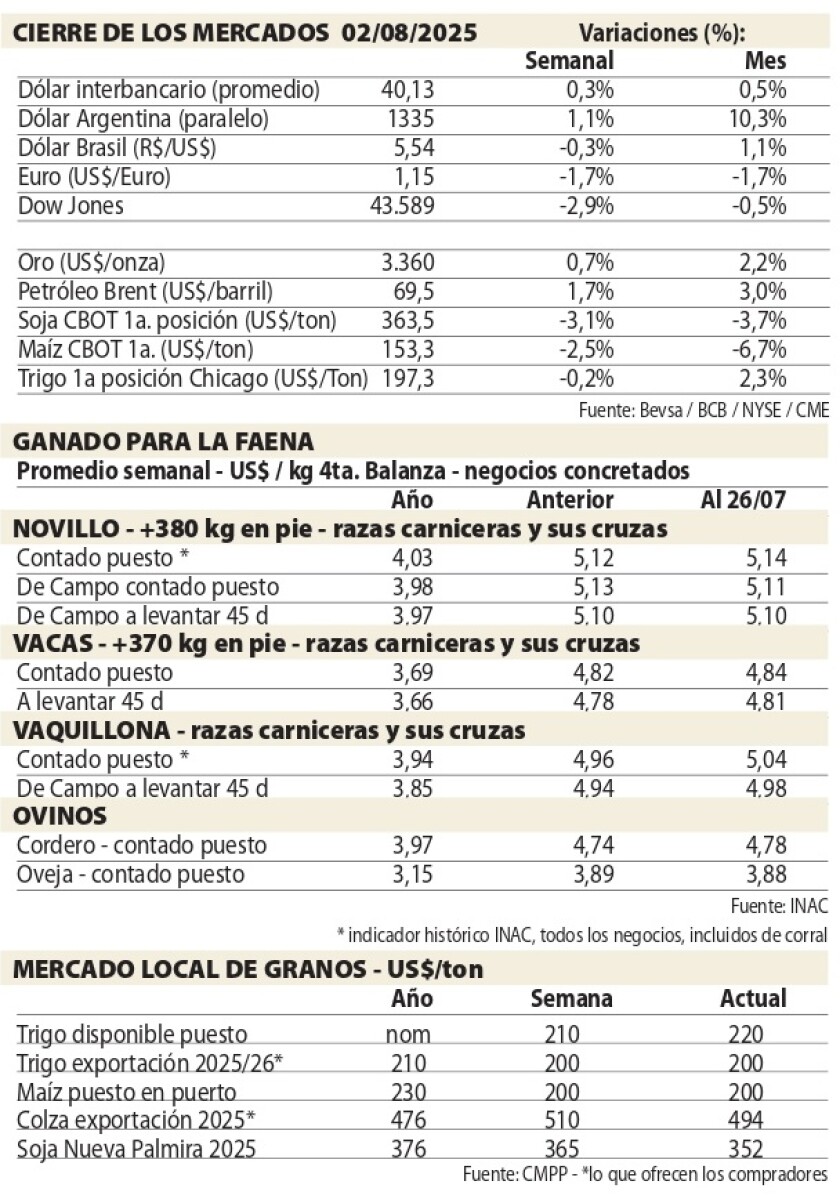 1 Cuadros NcL.jpg