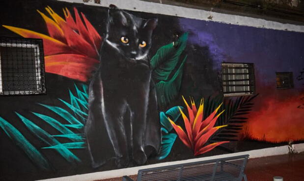Mural Gunnar, espacio público de concientización sobre el maltrato animal en Ciudad Vieja.
