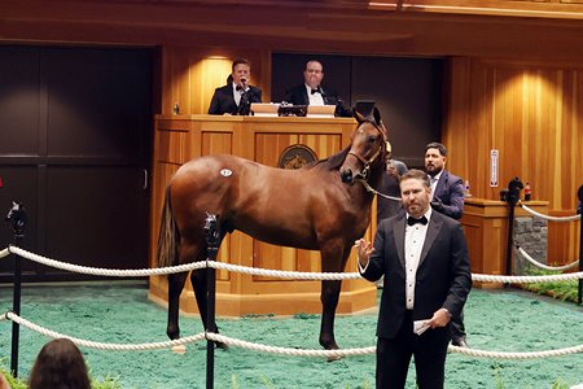 El Dubai Racing Club ha anunciado una alianza internacional histórica con la casa de remates Fasig - Tipton