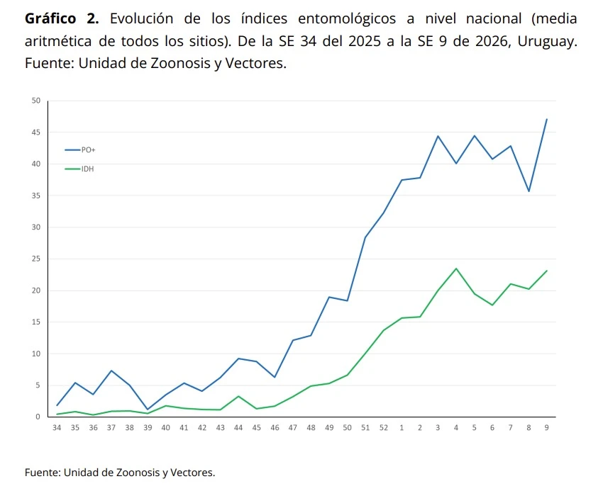 Evolución de la presencia de mosquitos Aedes aegypti en Uruguay.