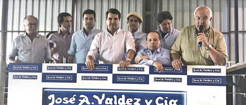 gen-con-marca-toros.jpg