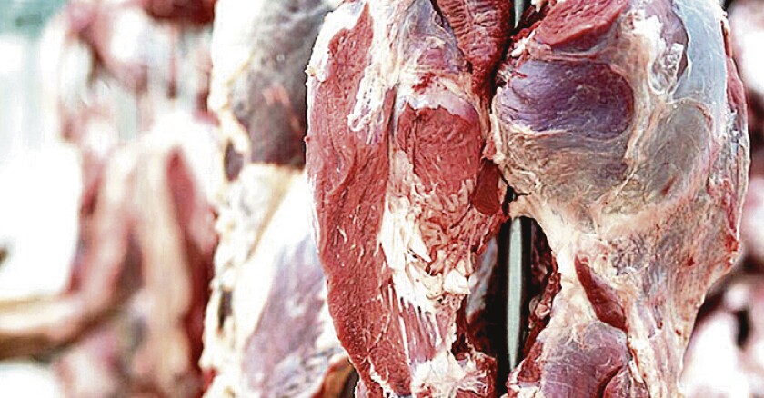 Pagando el arancel, Estados Unidos sigue siendo un buen negocio..jpg