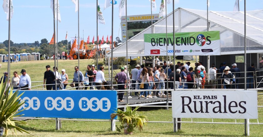 Expo Melilla