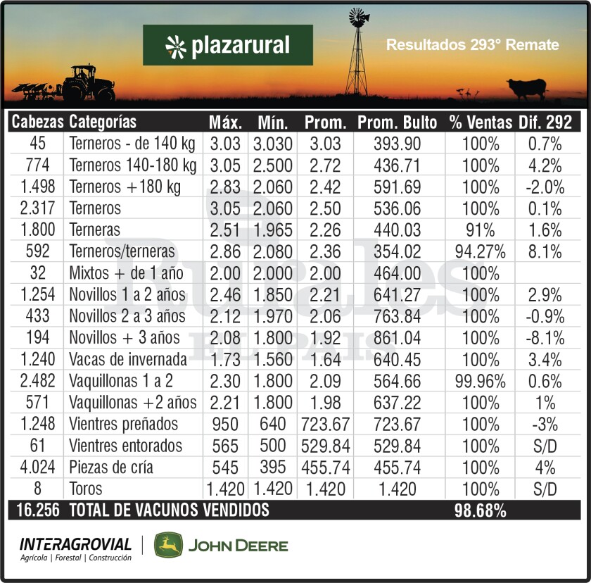 3x8 Plaza 293.jpg