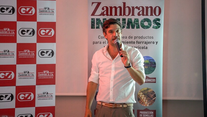 Alejandro Zambrano