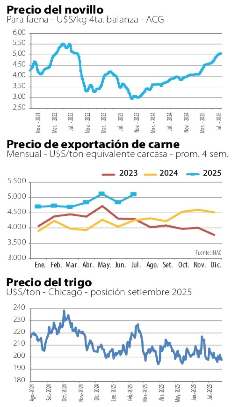1 Gráficas NcL.jpg