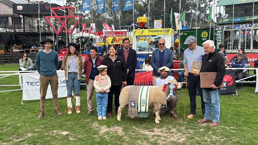 Gran Campeona Hembra PO.jpeg