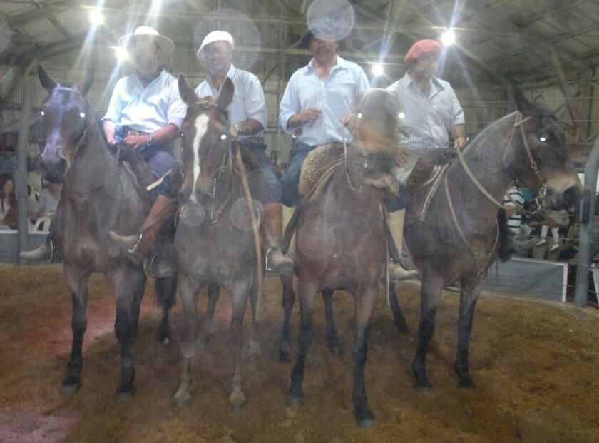 sangres Marcheras ok