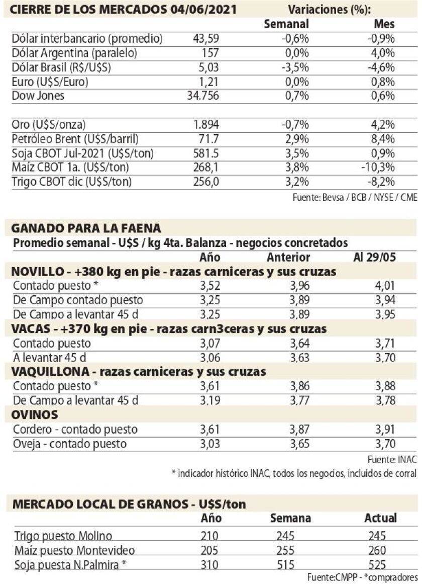 cuadros-ncl.jpg