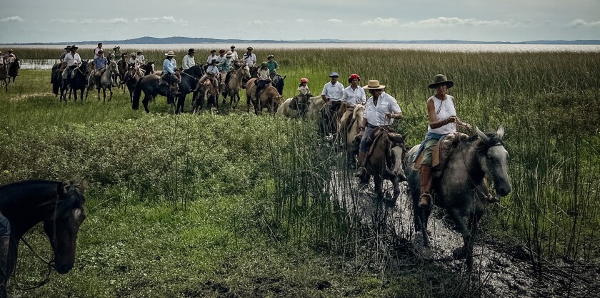 Cabalgata 2025 3.jpg