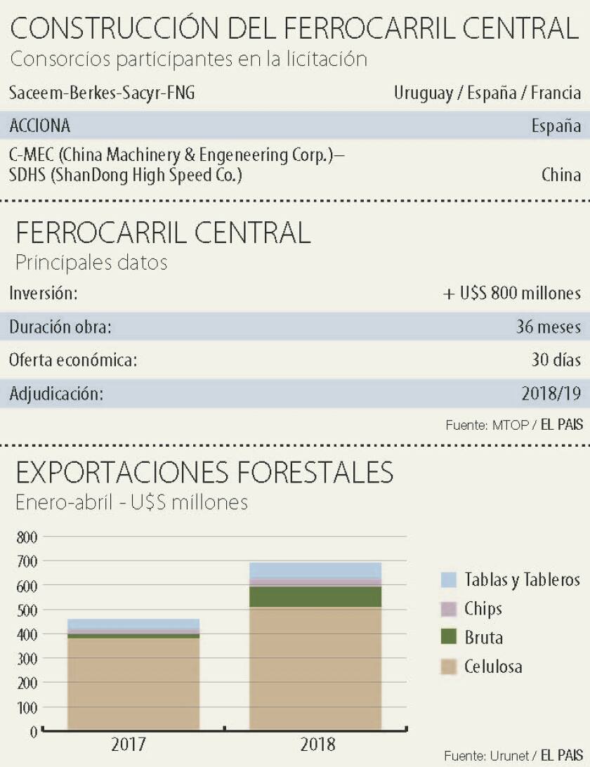 imagen-construccion-del-ferrocarril-central-12301895.jpg