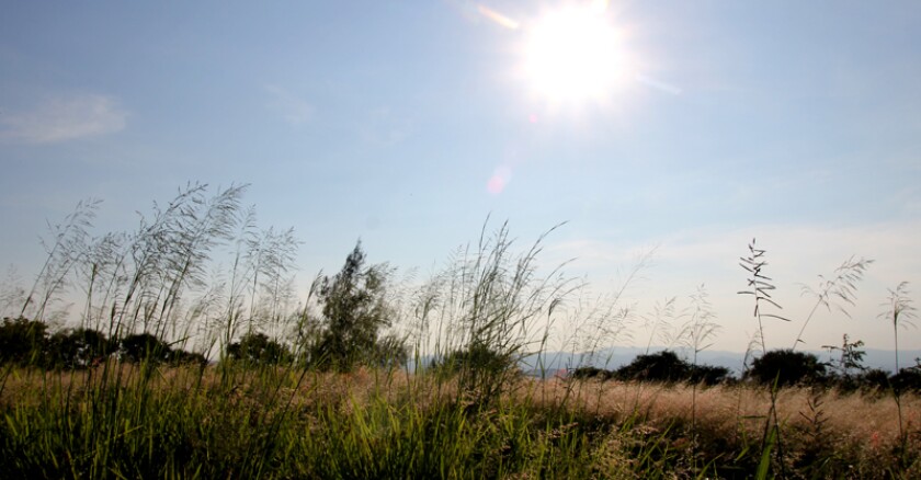 sol_campo_calor