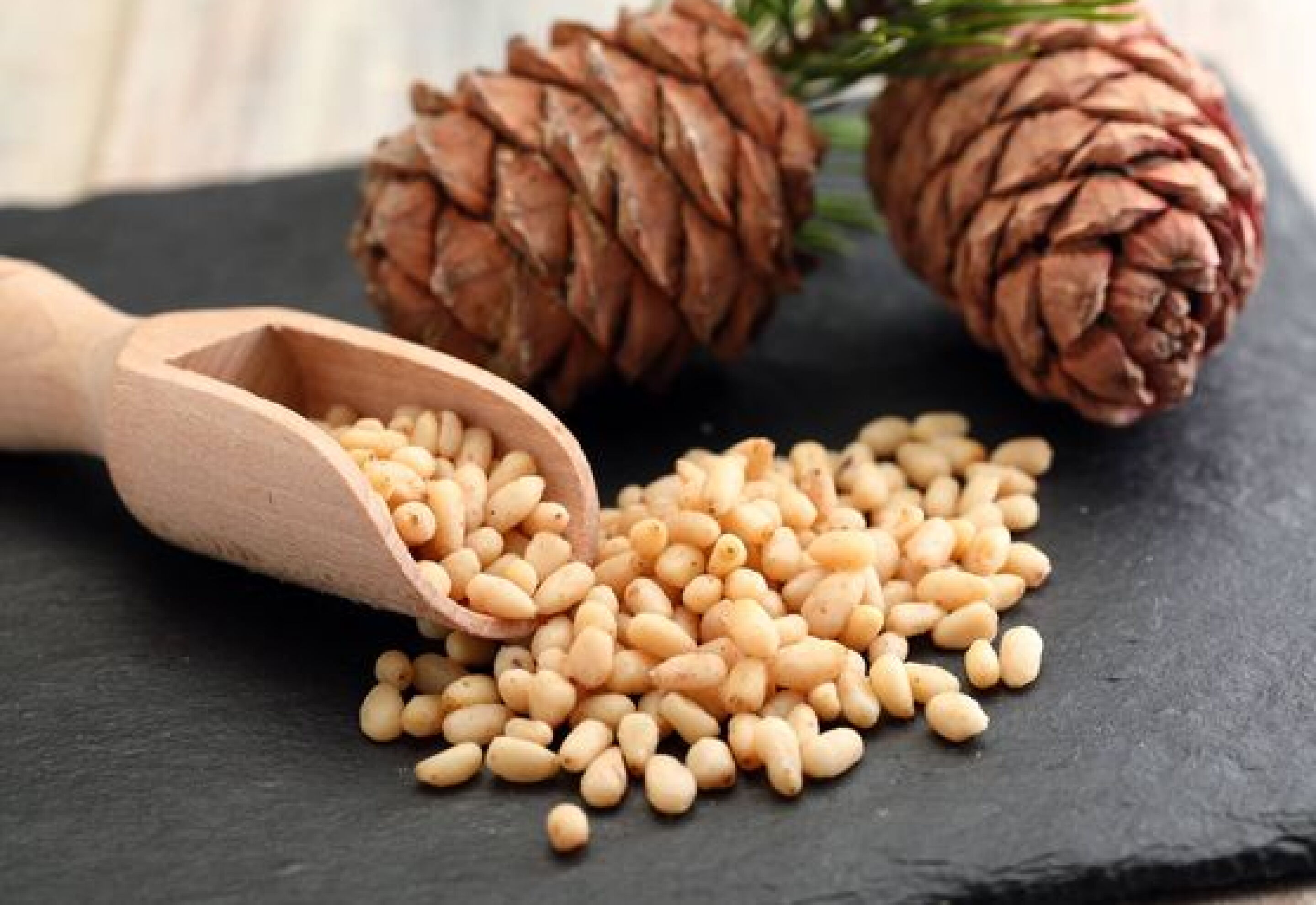 Semillas de las piñas tienen nuevas propiedades nutritivas, revela ...
