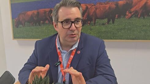 Pablo Domínguez.jpeg