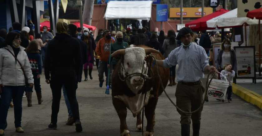 Expo Prado 2021