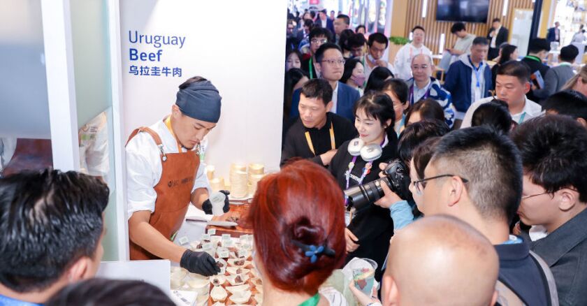 China International Import Expo 2023