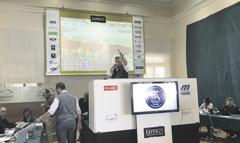 lote-21-remate.jpg
